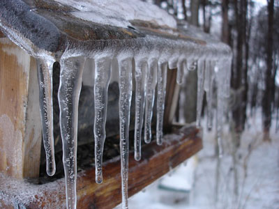 icicles-208484_400